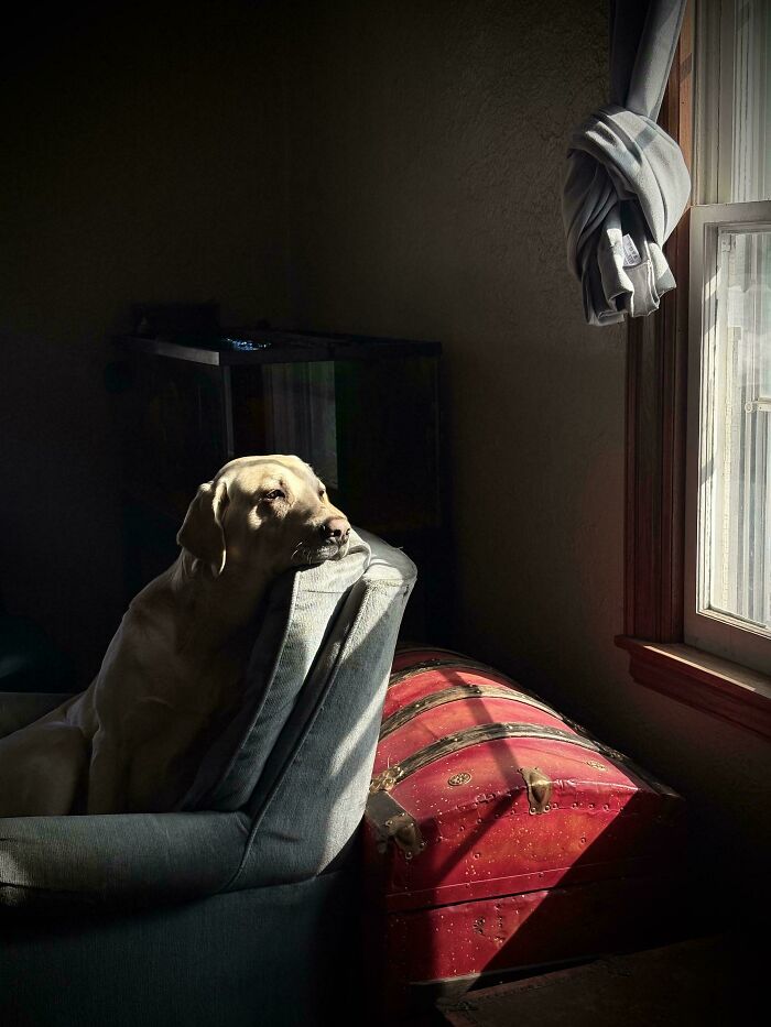 &ldquo;Accidental Renaissance&rdquo;: 102 Photos That Look Like They Should Belong In A Museum (New Pics)