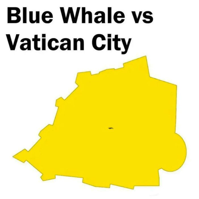 65 Amazing And Interesting Maps You Probably Weren’t Shown In Geography Class 65 Amazing And Interesting Maps You Probably Weren’t Shown In Geography Class
