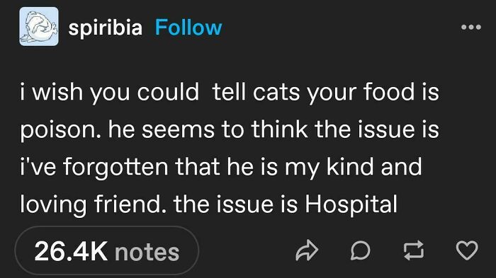 69 Chaotic Posts That Prove There&rsquo;s Truly Nothing Else Like Tumblr (New Pics)