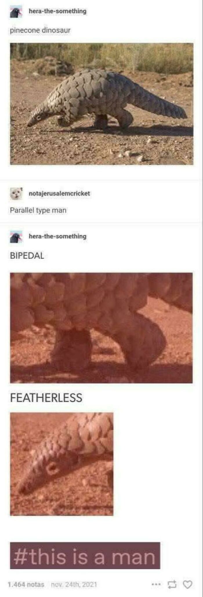 69 Chaotic Posts That Prove There&rsquo;s Truly Nothing Else Like Tumblr (New Pics)