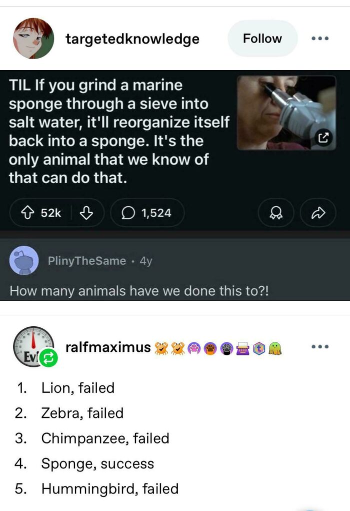 69 Chaotic Posts That Prove There&rsquo;s Truly Nothing Else Like Tumblr (New Pics)