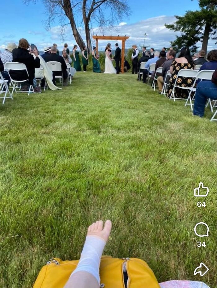 “The Cow Got Out!”: 57 Times Weddings Served Up Much More Than Romance And Rings “The Cow Got Out!”: 57 Times Weddings Served Up Much More Than Romance And Rings