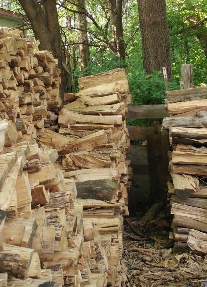 90 Unbelievably Well-Camouflaged Things That Take Forever To Spot (New Pics) 90 Unbelievably Well-Camouflaged Things That Take Forever To Spot (New Pics)