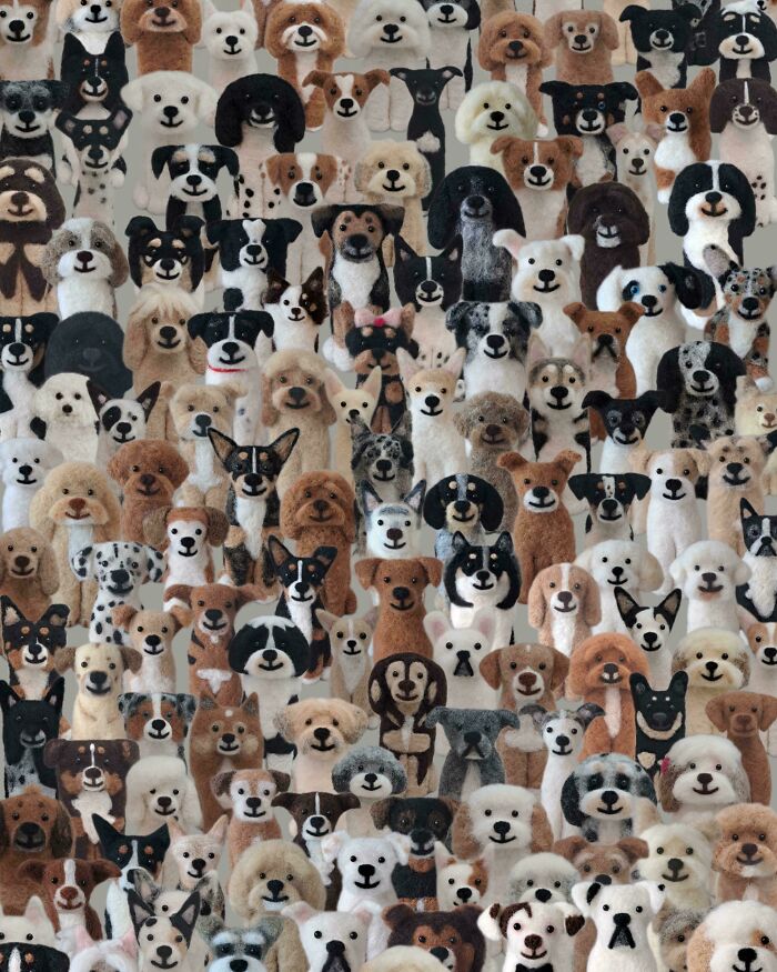 90 Unbelievably Well-Camouflaged Things That Take Forever To Spot (New Pics) 90 Unbelievably Well-Camouflaged Things That Take Forever To Spot (New Pics)