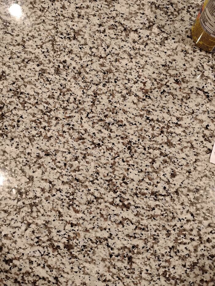 90 Unbelievably Well-Camouflaged Things That Take Forever To Spot (New Pics) 90 Unbelievably Well-Camouflaged Things That Take Forever To Spot (New Pics)