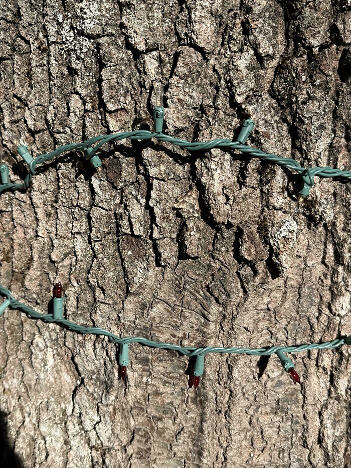 90 Unbelievably Well-Camouflaged Things That Take Forever To Spot (New Pics) 90 Unbelievably Well-Camouflaged Things That Take Forever To Spot (New Pics)