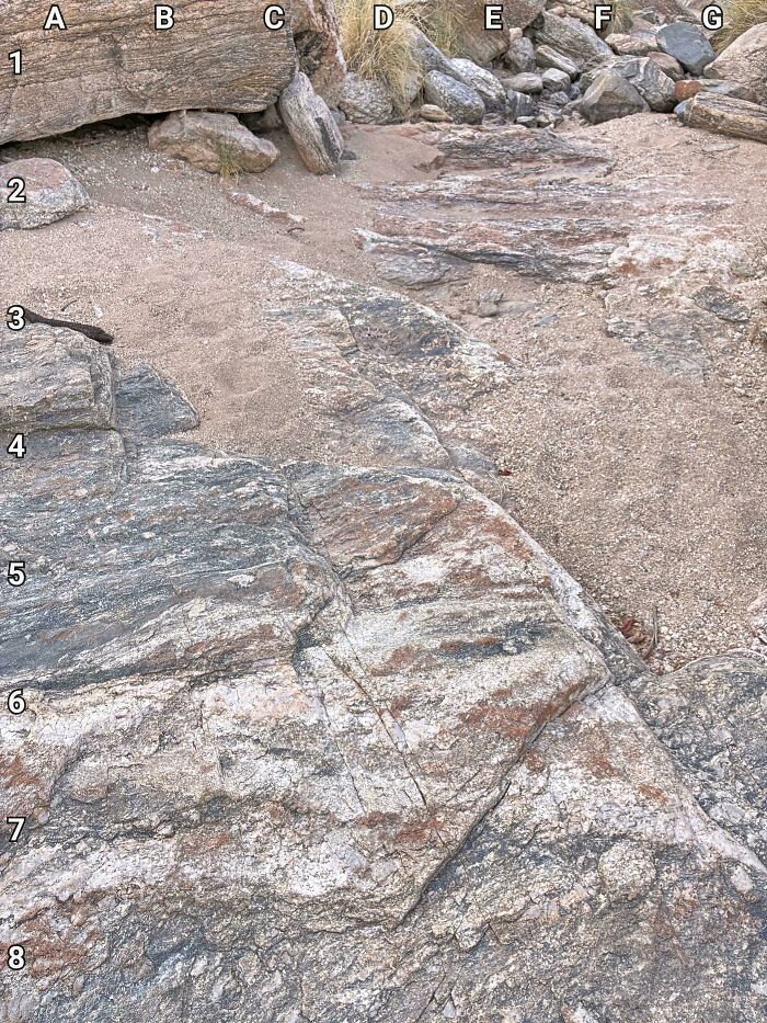 90 Unbelievably Well-Camouflaged Things That Take Forever To Spot (New Pics) 90 Unbelievably Well-Camouflaged Things That Take Forever To Spot (New Pics)
