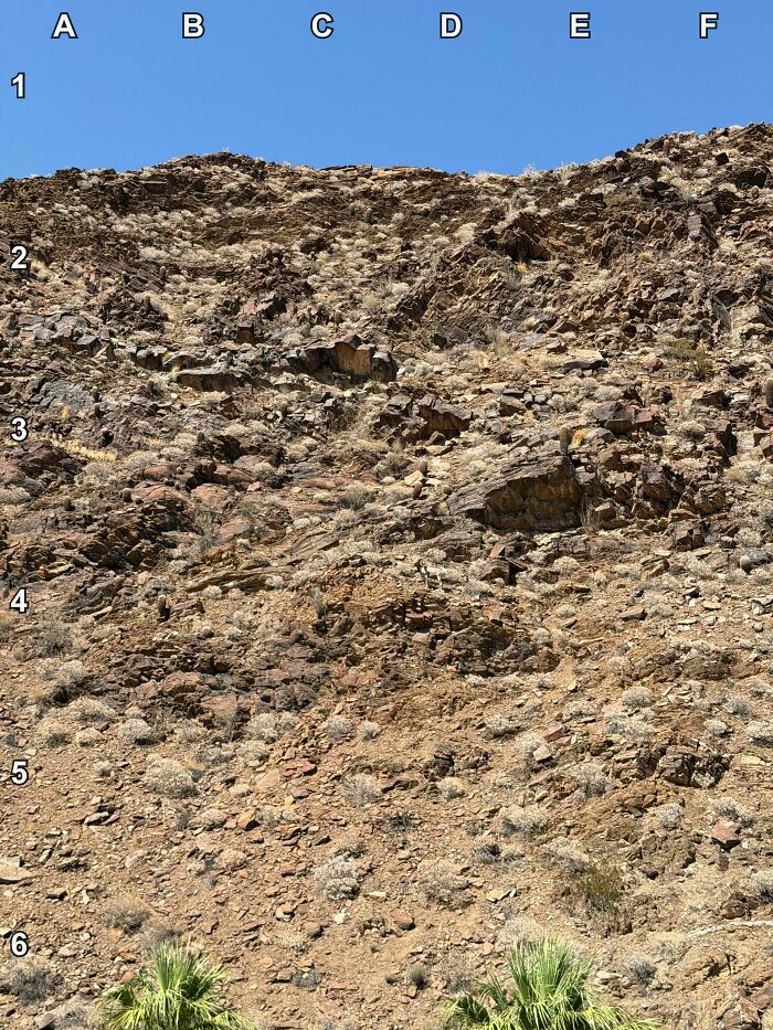90 Unbelievably Well-Camouflaged Things That Take Forever To Spot (New Pics) 90 Unbelievably Well-Camouflaged Things That Take Forever To Spot (New Pics)