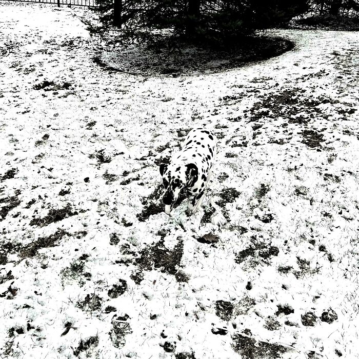 90 Unbelievably Well-Camouflaged Things That Take Forever To Spot (New Pics) 90 Unbelievably Well-Camouflaged Things That Take Forever To Spot (New Pics)