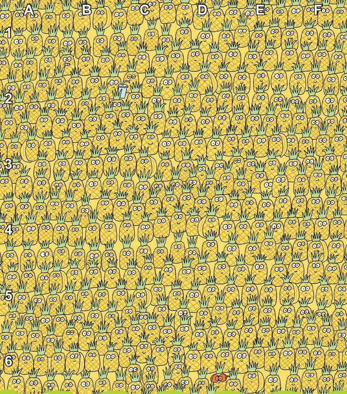 90 Unbelievably Well-Camouflaged Things That Take Forever To Spot (New Pics) 90 Unbelievably Well-Camouflaged Things That Take Forever To Spot (New Pics)