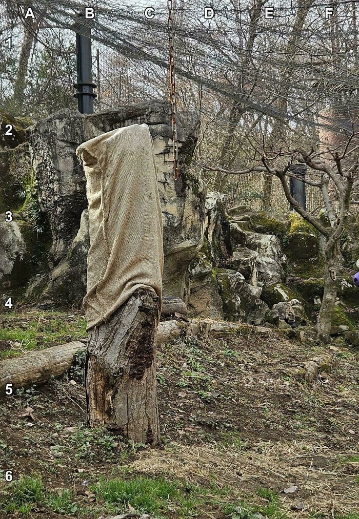 90 Unbelievably Well-Camouflaged Things That Take Forever To Spot (New Pics) 90 Unbelievably Well-Camouflaged Things That Take Forever To Spot (New Pics)