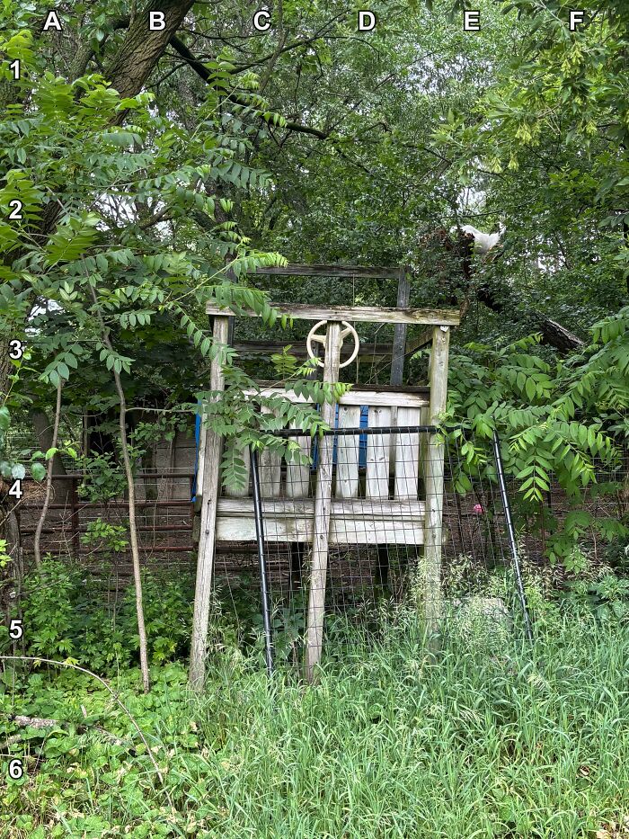 90 Unbelievably Well-Camouflaged Things That Take Forever To Spot (New Pics) 90 Unbelievably Well-Camouflaged Things That Take Forever To Spot (New Pics)