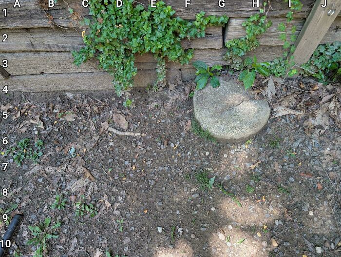 90 Unbelievably Well-Camouflaged Things That Take Forever To Spot (New Pics) 90 Unbelievably Well-Camouflaged Things That Take Forever To Spot (New Pics)