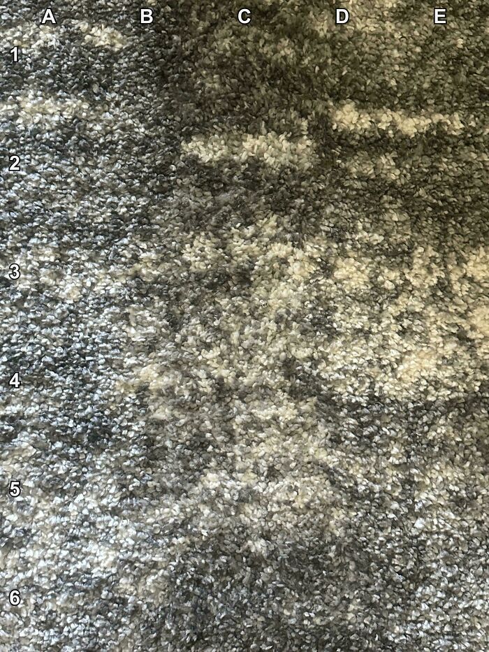 90 Unbelievably Well-Camouflaged Things That Take Forever To Spot (New Pics) 90 Unbelievably Well-Camouflaged Things That Take Forever To Spot (New Pics)