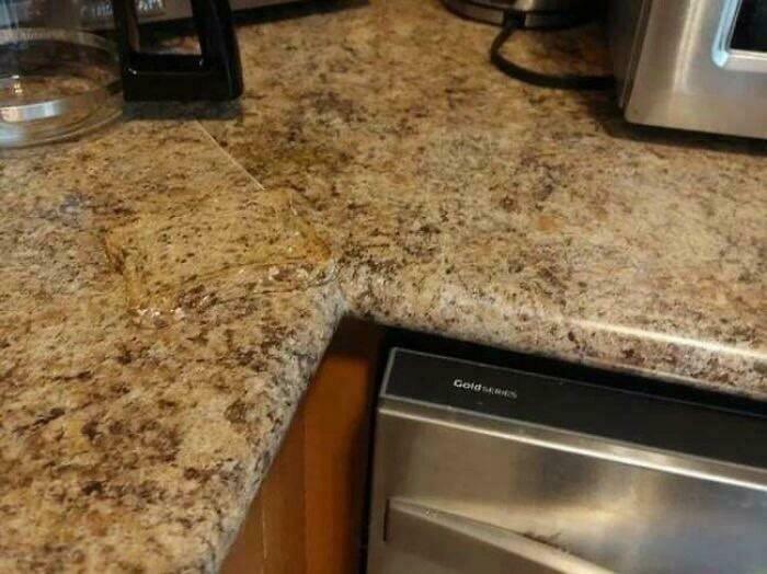 90 Unbelievably Well-Camouflaged Things That Take Forever To Spot (New Pics) 90 Unbelievably Well-Camouflaged Things That Take Forever To Spot (New Pics)