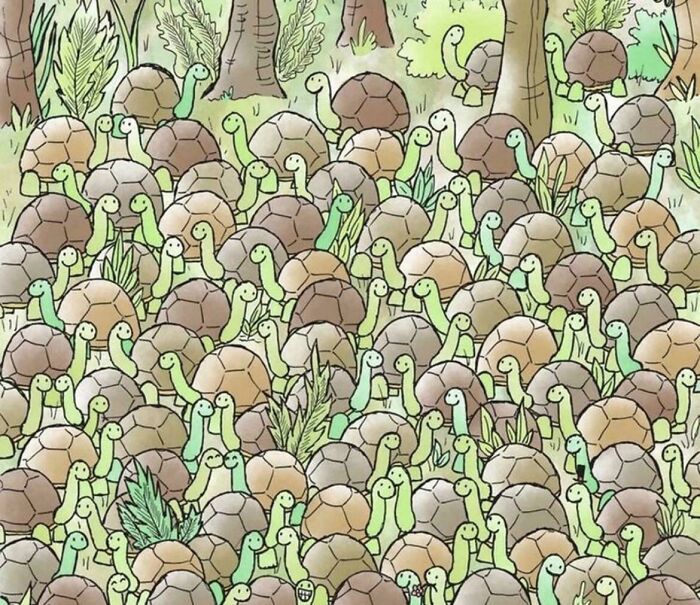 90 Unbelievably Well-Camouflaged Things That Take Forever To Spot (New Pics) 90 Unbelievably Well-Camouflaged Things That Take Forever To Spot (New Pics)
