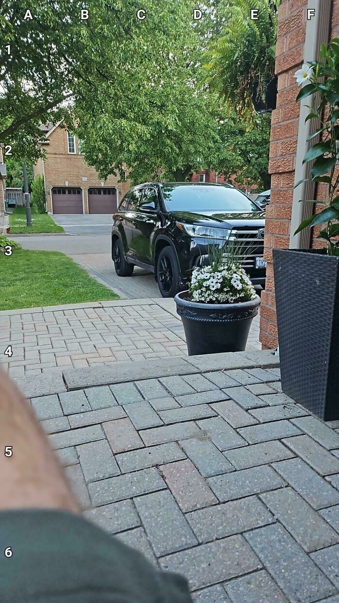 90 Unbelievably Well-Camouflaged Things That Take Forever To Spot (New Pics) 90 Unbelievably Well-Camouflaged Things That Take Forever To Spot (New Pics)