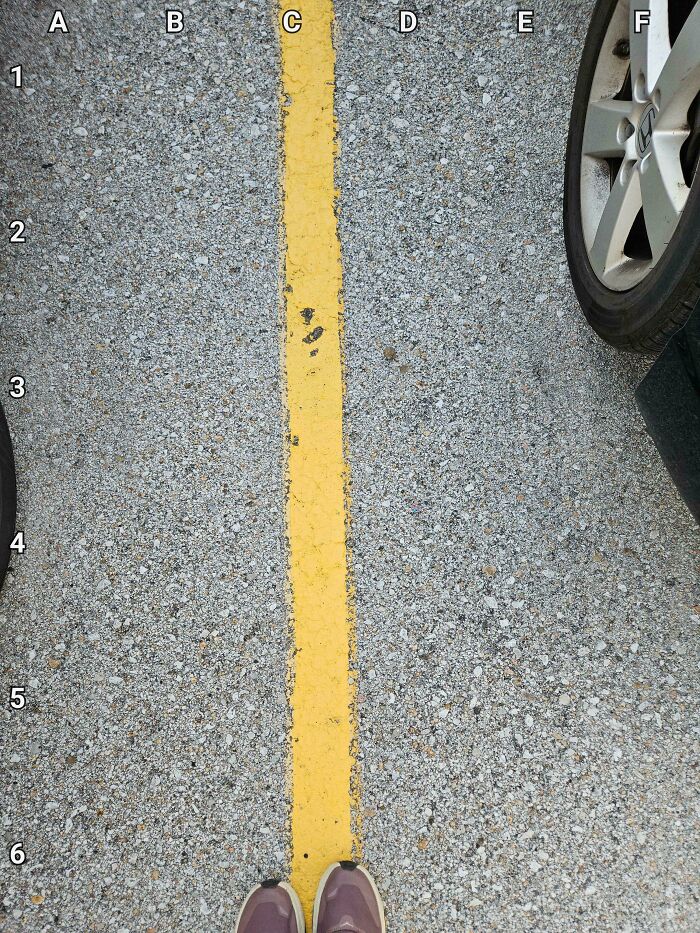 90 Unbelievably Well-Camouflaged Things That Take Forever To Spot (New Pics) 90 Unbelievably Well-Camouflaged Things That Take Forever To Spot (New Pics)