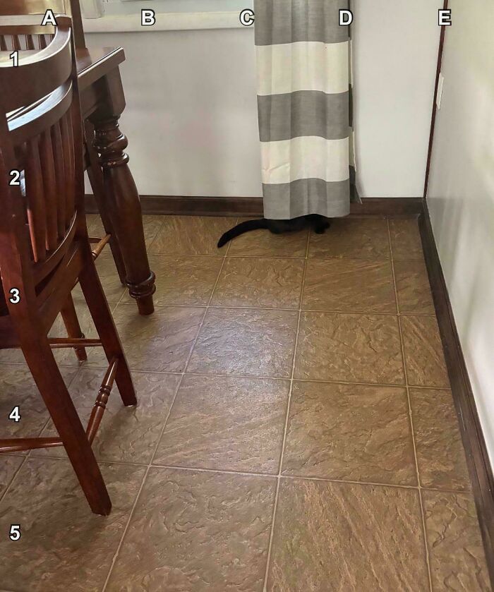 90 Unbelievably Well-Camouflaged Things That Take Forever To Spot (New Pics) 90 Unbelievably Well-Camouflaged Things That Take Forever To Spot (New Pics)