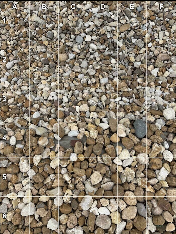 90 Unbelievably Well-Camouflaged Things That Take Forever To Spot (New Pics) 90 Unbelievably Well-Camouflaged Things That Take Forever To Spot (New Pics)