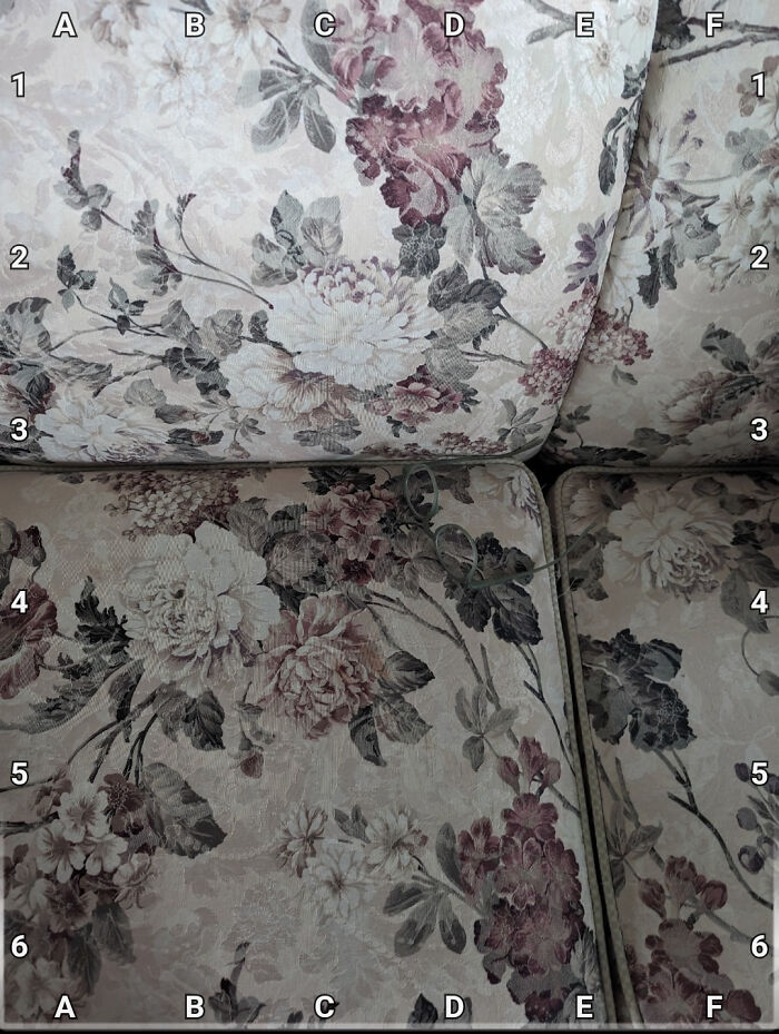 90 Unbelievably Well-Camouflaged Things That Take Forever To Spot (New Pics) 90 Unbelievably Well-Camouflaged Things That Take Forever To Spot (New Pics)