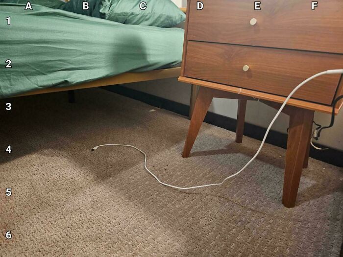 90 Unbelievably Well-Camouflaged Things That Take Forever To Spot (New Pics) 90 Unbelievably Well-Camouflaged Things That Take Forever To Spot (New Pics)