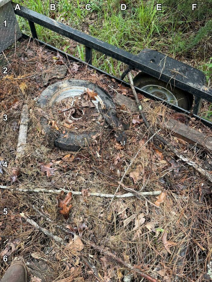 90 Unbelievably Well-Camouflaged Things That Take Forever To Spot (New Pics) 90 Unbelievably Well-Camouflaged Things That Take Forever To Spot (New Pics)