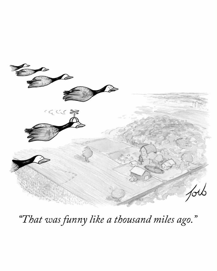 53 Clever One-Panel Comics By The Talented New Yorker Cartoonist Tom Toro (New Pics) 53 Clever One-Panel Comics By The Talented New Yorker Cartoonist Tom Toro (New Pics)