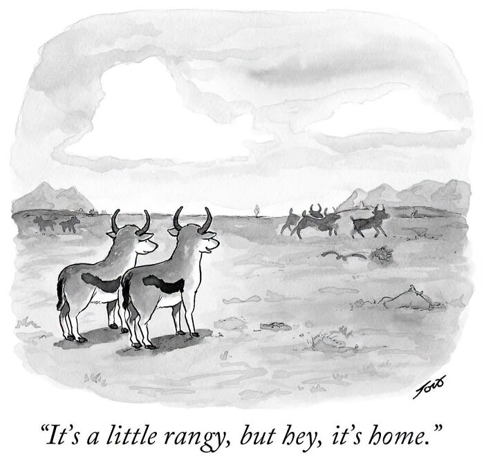 53 Clever One-Panel Comics By The Talented New Yorker Cartoonist Tom Toro (New Pics) 53 Clever One-Panel Comics By The Talented New Yorker Cartoonist Tom Toro (New Pics)