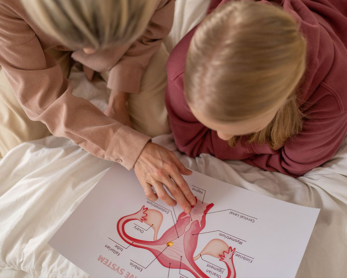 This Female Body Part Was Deemed Useless And Erased From Textbooks, Now Scientists Say They Got It Wrong