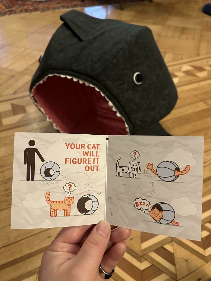 83 Times People Who Had No Idea How To Make Instructions Tried To Make Them Anyway (New Pics)