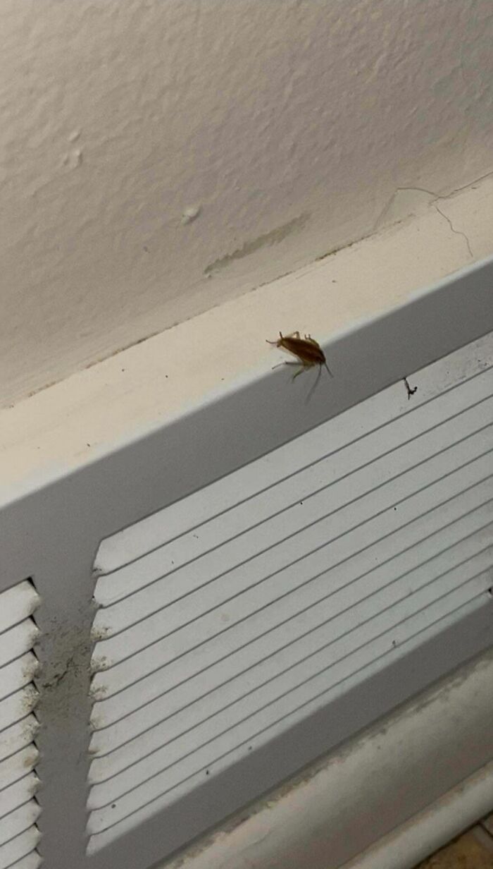 93 Hotel And Airbnb Fails That Might Make You Inspect Every Booking Photo Twice 93 Hotel And Airbnb Fails That Might Make You Inspect Every Booking Photo Twice