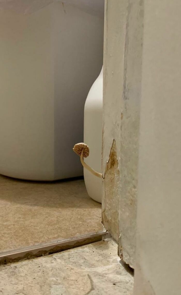 93 Hotel And Airbnb Fails That Might Make You Inspect Every Booking Photo Twice 93 Hotel And Airbnb Fails That Might Make You Inspect Every Booking Photo Twice