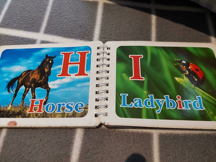 124 Hilarious Fails From People Who Had Exactly One Job And Still Managed To Mess It Up Spectacularly 124 Hilarious Fails From People Who Had Exactly One Job And Still Managed To Mess It Up Spectacularly