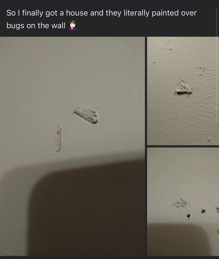 124 Hilarious Fails From People Who Had Exactly One Job And Still Managed To Mess It Up Spectacularly 124 Hilarious Fails From People Who Had Exactly One Job And Still Managed To Mess It Up Spectacularly