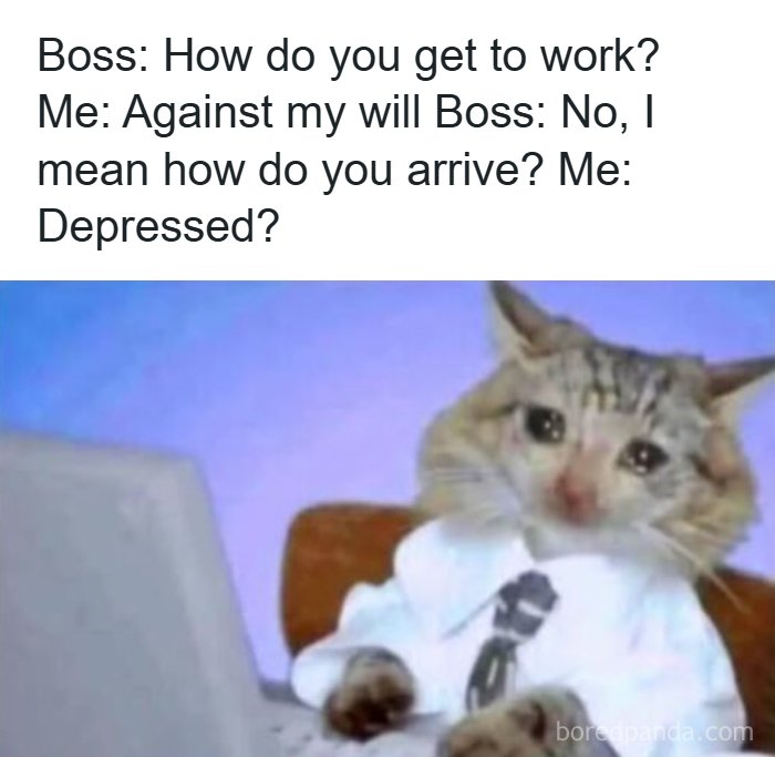 66 Painfully Relatable Posts And Memes About The Reality Of Working For A Living 66 Painfully Relatable Posts And Memes About The Reality Of Working For A Living