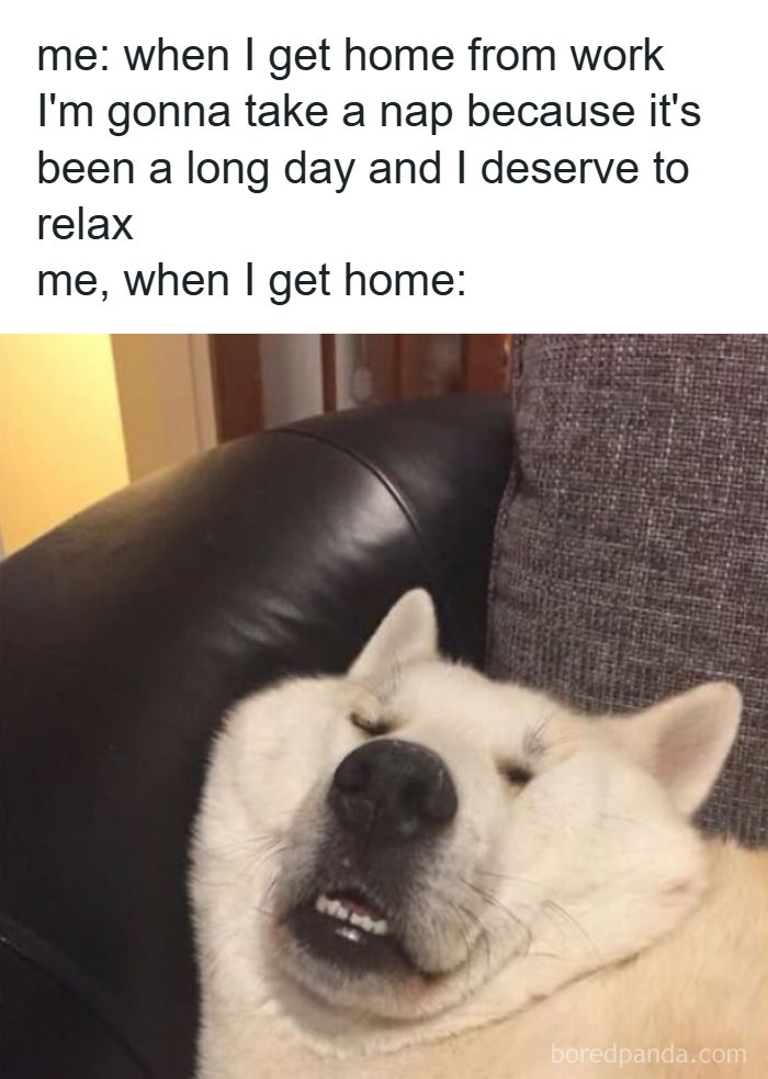 66 Painfully Relatable Posts And Memes About The Reality Of Working For A Living 66 Painfully Relatable Posts And Memes About The Reality Of Working For A Living