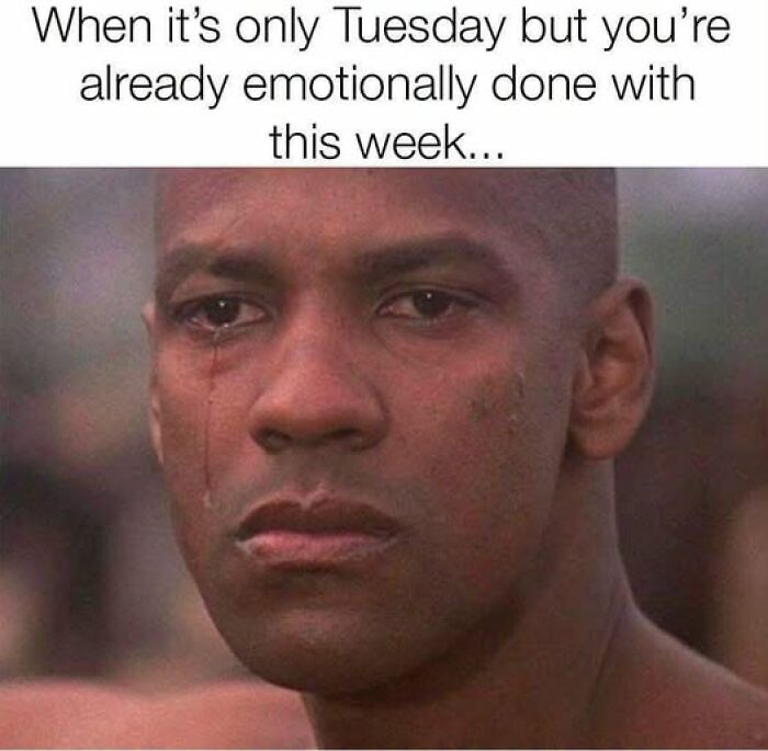 66 Painfully Relatable Posts And Memes About The Reality Of Working For A Living 66 Painfully Relatable Posts And Memes About The Reality Of Working For A Living
