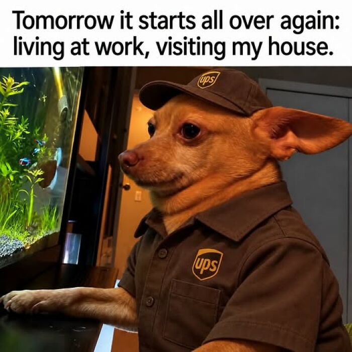 66 Painfully Relatable Posts And Memes About The Reality Of Working For A Living 66 Painfully Relatable Posts And Memes About The Reality Of Working For A Living