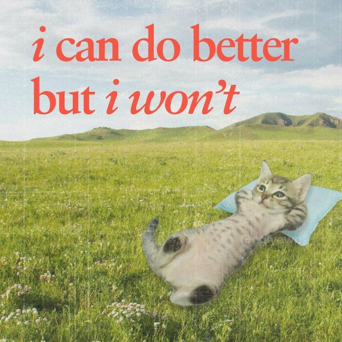 89 Relatable Cat Memes That Might Make You Say &ldquo;Honestly, Same&rdquo;