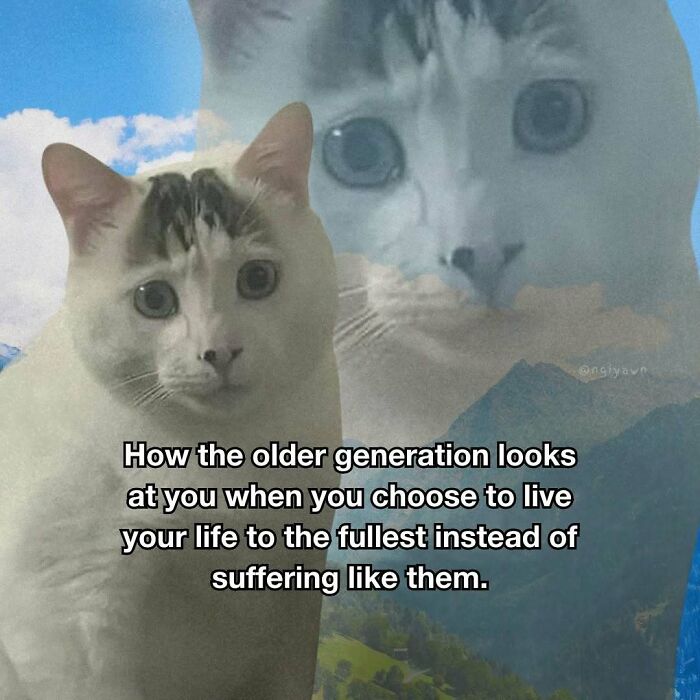 89 Relatable Cat Memes That Might Make You Say &ldquo;Honestly, Same&rdquo;