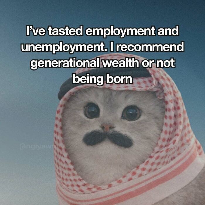 89 Relatable Cat Memes That Might Make You Say &ldquo;Honestly, Same&rdquo;