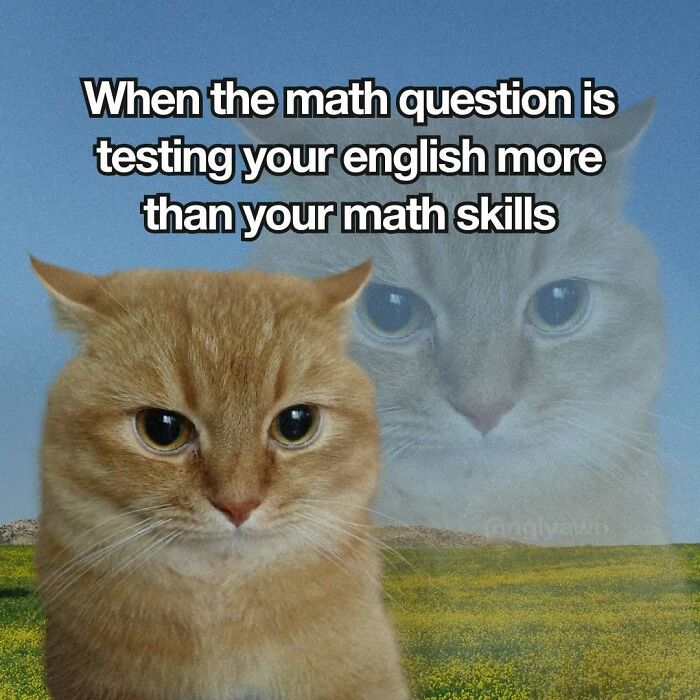 89 Relatable Cat Memes That Might Make You Say &ldquo;Honestly, Same&rdquo;
