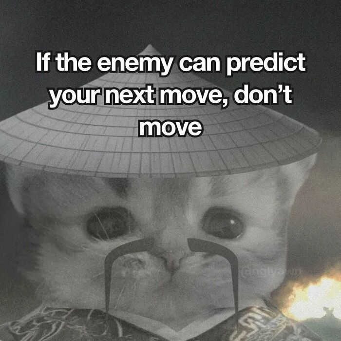 89 Relatable Cat Memes That Might Make You Say &ldquo;Honestly, Same&rdquo;