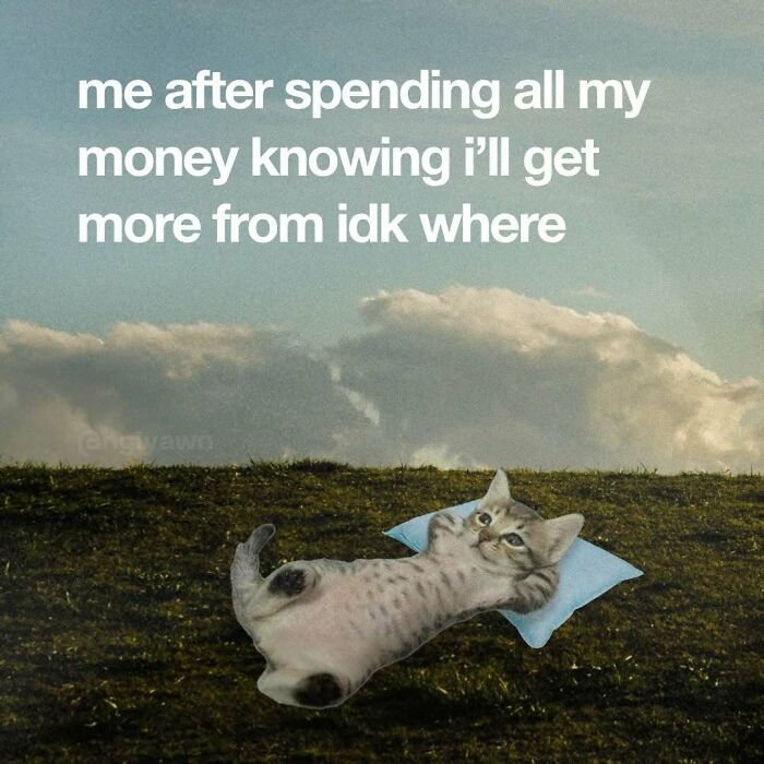 89 Relatable Cat Memes That Might Make You Say &ldquo;Honestly, Same&rdquo;