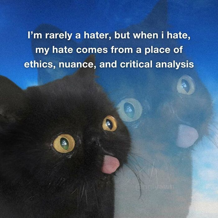 89 Relatable Cat Memes That Might Make You Say &ldquo;Honestly, Same&rdquo;
