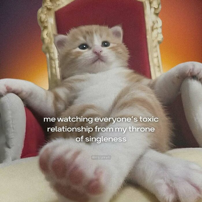 89 Relatable Cat Memes That Might Make You Say &ldquo;Honestly, Same&rdquo;