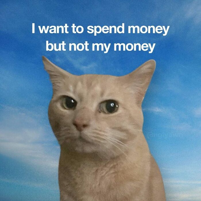 89 Relatable Cat Memes That Might Make You Say &ldquo;Honestly, Same&rdquo;