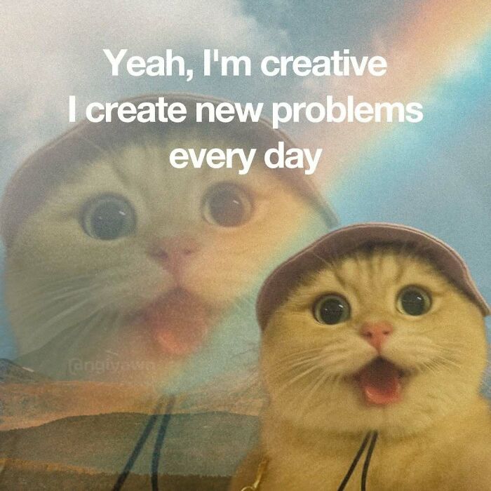 89 Relatable Cat Memes That Might Make You Say &ldquo;Honestly, Same&rdquo;