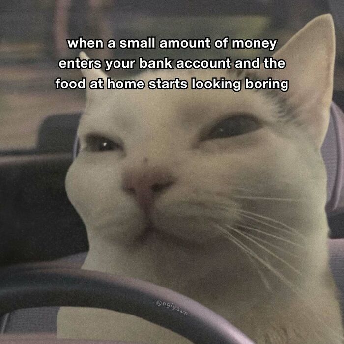 89 Relatable Cat Memes That Might Make You Say &ldquo;Honestly, Same&rdquo;
